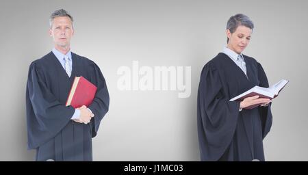 Les juges de la tenue de livres à l'avant du mur gris Banque D'Images