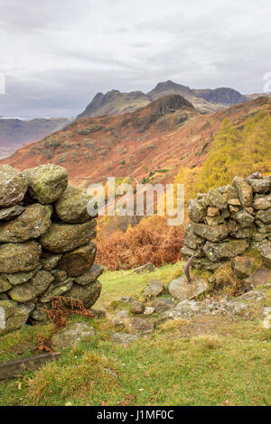 Écart dans le vieux mur de pierre sèche avec la couleur d'automne et Langdale Pikes dans la distance, Lake District, Cumbria, Angleterre, Royaume-Uni Banque D'Images