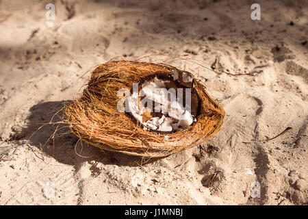 Ouvrez la noix de coco sur la plage Banque D'Images