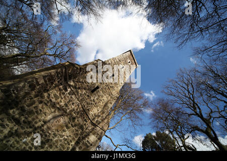 À la mémoire de Sir Walter Scott, Tour Clermiston se dresse au milieu de la forêt à Corstorphine Hill, Édimbourg Banque D'Images