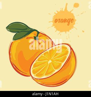 Attirer la main d'orange Illustration de Vecteur