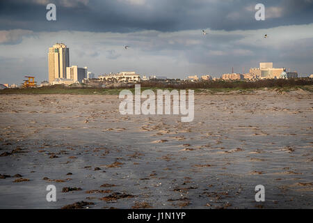 Palissade Palms towers sur Galveston East Beach Banque D'Images