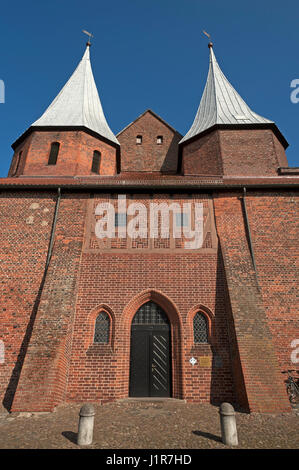 À la cathédrale Saint Pierre et Paul Bardowick, 14e siècle, ciel bleu, Bardowick, Basse-Saxe, Allemagne Banque D'Images