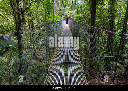 Pont suspendu de la Rainforest, Mistico ponts suspendus d'Arenal, Volcan Arenal Parc National Park, province de Alajuela Banque D'Images