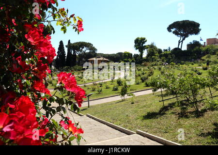 Au cours de l'anniversaire de la fondation de Rome, a ouvert au public la Rocca Comunale (Photo par : Matteo Nardone/Pacific Press) Banque D'Images