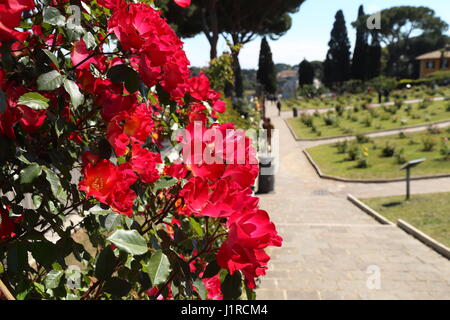 Au cours de l'anniversaire de la fondation de Rome, a ouvert au public la Rocca Comunale (Photo par : Matteo Nardone/Pacific Press) Banque D'Images