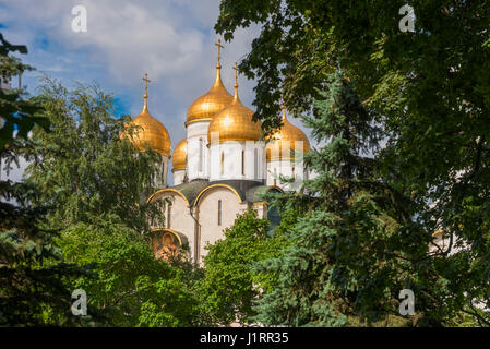 Dans la cathédrale de l'annonciation du Kremlin de Moscou dans les feuilles d'arbres du jardin Tainitsky Banque D'Images