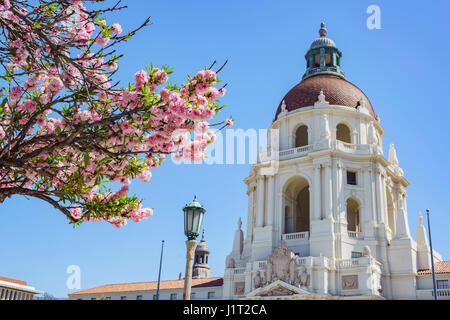 La belle scène de l'après-midi avec fleur de cerisier de l'Hôtel de Ville de Pasadena, Los Angeles, Californie Banque D'Images