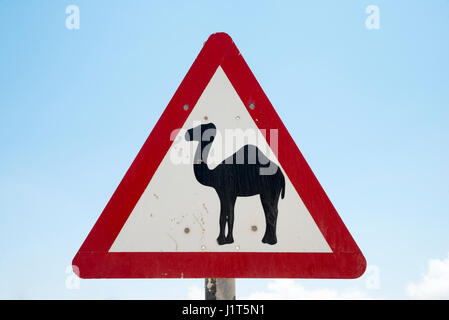 Camel panneau d'avertissement dans le Gouvernorat de Dhofar, Oman Banque D'Images