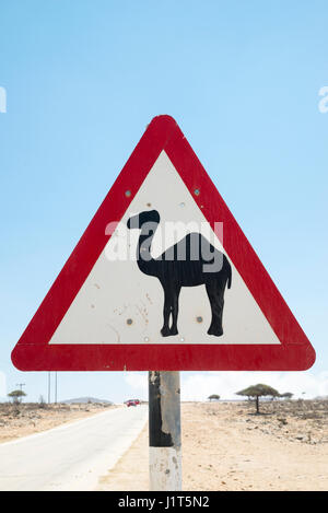 Camel panneau d'avertissement dans le Gouvernorat de Dhofar, Oman Banque D'Images