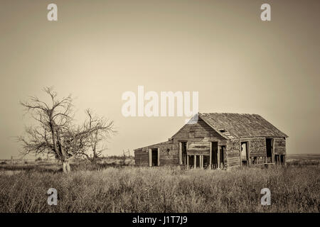 Old abandoned homestead avec nids sur l'est du Colorado, des prairies aux tons platine image en noir et blanc Banque D'Images