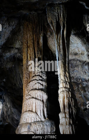 Deux colonnes, les dépôts de calcite dans les grottes de Han-sur-Lesse / Grottes de Han, Ardennes Belges, Belgique Banque D'Images