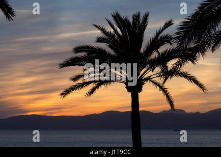 Coucher du soleil sur la plage, s'Arenal, Majorque, Espagne Banque D'Images