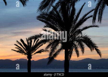 Coucher du soleil sur la plage, s'Arenal, Majorque, Espagne Banque D'Images