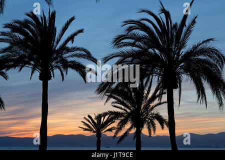 Coucher du soleil sur la plage, s'Arenal, Majorque, Espagne Banque D'Images