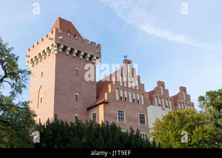 Château du Roi à Poznań en Pologne Banque D'Images