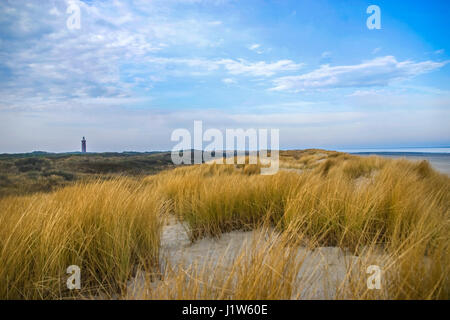 Dunes de sable avec de l'herbe des dunes du nord de l'Europe à la mer en France Banque D'Images