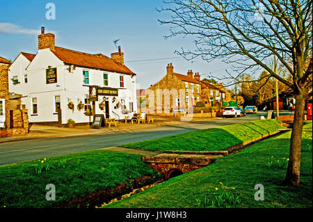 Le cheval gris et Village Green, Elvington, Yorkshire Banque D'Images