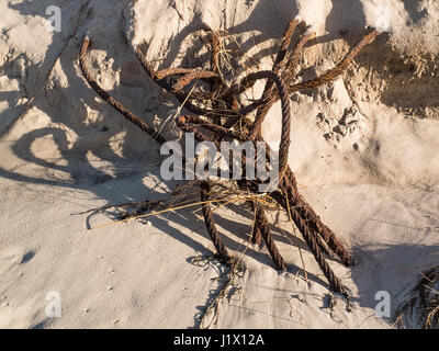 Fil de métal qui est tannée se trouve à moitié enfoui dans le sable à la plage Banque D'Images