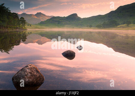 Aube lumière rose, illuminant les Langdale Pikes, reflétée dans l'eau calme de Blea Tarn. Un léger brouillard froid se trouve juste au-dessus de la surface. Banque D'Images