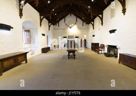 L'intérieur de Château de Cahir en Irlande Banque D'Images