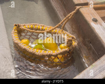 La cuisson des œufs et des légumes dans l'eau de sources thermales de montagne Taiping à Taiwan Banque D'Images