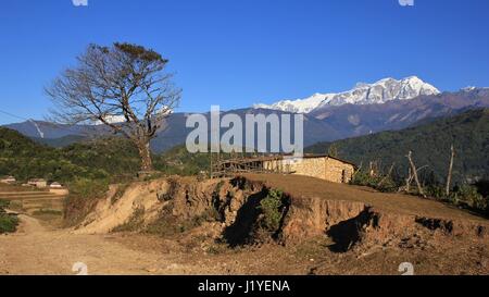 Scène sur la façon de Gaun Ghale. Arbre, hangar et couvertes de neige d'Annapurna. Banque D'Images