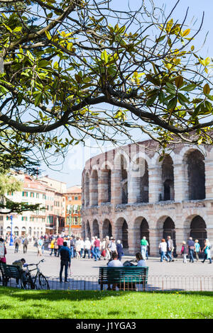 Voyage d'Italie - vue de l'arbre vert et la direction générale de l'arène romaine sur l'arrière-plan de jardin sur la Piazza Bra à Vérone au printemps. Banque D'Images