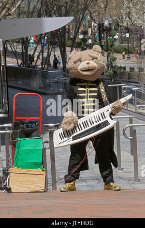 Un musicien ambulant près de Faneuil Hall de Boston, Massachusetts jouant une keybpard et vêtu d'un costume d'ours. Banque D'Images
