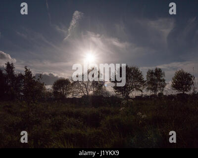 Le soleil descend dans le ciel au-dessus de la cime des arbres et de la terre avec des arbustes et des plantes avec sun flare et rayés blanc bleu ciel de printemps Banque D'Images