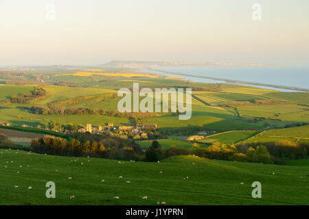 Abbotsbury Hill, Dorset, UK. 22 avr, 2017. Clair et ensoleillé belle fin de la journée avec le bain de soleil du soir basse le village d'Abbotsbury. Crédit : Dan Tucker/Alamy Live News Banque D'Images