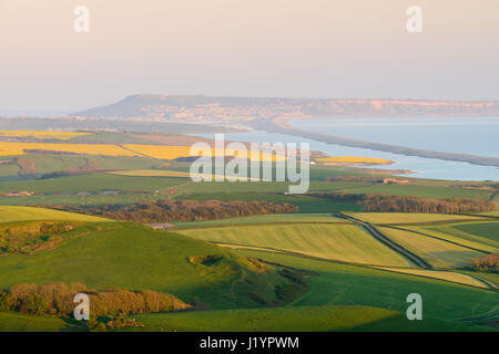 Abbotsbury Hill, Dorset, UK. 22 avr, 2017. Belle fin de journée ensoleillée le soir à faible le bain de soleil sur les collines. Crédit : Dan Tucker/Alamy Live News Banque D'Images