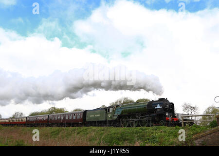 Peterborough, Royaume-Uni. 22 avril, 2017. La Tornade locomotive vapeur 60163 fait son chemin de fer de la vallée le long de la Nene à Wansford, Cambridgeshire. La tornade est de faire un "Best of Britain' apparition ce week-end, après avoir récemment roulant à 100km/h sur la ligne principale de la côte est. Crédit : Paul Marriott/Alamy Live News Banque D'Images