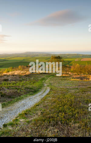 Monument à Hardy, près de Portesham, Dorset, UK. 23 avril 2017. Crisp spectaculaire lever du soleil clair de l'historique Monument à Hardy. Dan Tucker Crédit/Alamy Live News Banque D'Images