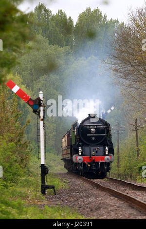 Peterborough, Royaume-Uni. 23 avril, 2017. La Tornade locomotive vapeur 60163 rend son Nene Valley Railway le long de l'Au-delà d'un champ de colza jaune près de Wansford, Cambridgeshire. La tornade est de faire un "Best of Britain' apparition ce week-end, après avoir récemment roulant à 100km/h sur la ligne principale de la côte est. Crédit : Paul Marriott/Alamy Live News Banque D'Images