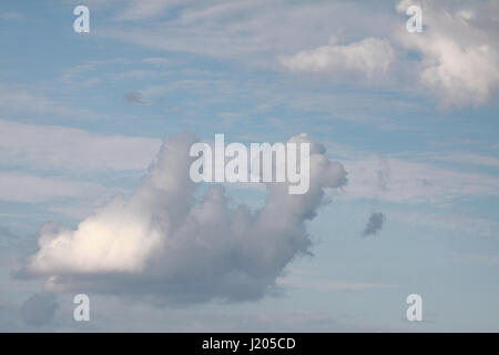 Cumulus blanc réel étonnante sous la forme d'un gisant chameau Banque D'Images