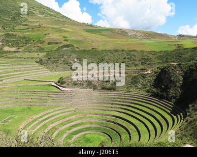 Le Pérou, Moray, d'anciennes terrasses circulaires Inca les Incas il y a probable de l'agriculture, laboratoire de la Vallée Sacrée, Cuzco Banque D'Images