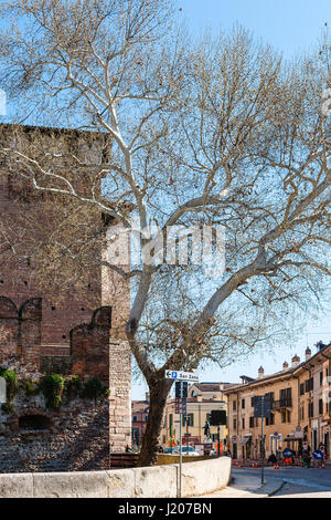 Vérone, ITALIE - 27 mars 2017 : vue sur château Castelvecchio de Basilica di San Zeno à Vérone ville au printemps. La basilique a été construite sur l'buria Banque D'Images