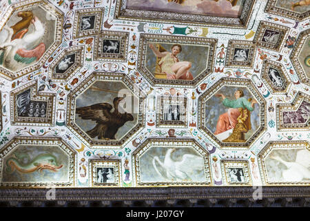 VICENZA, ITALIE - 28 mars 2017 : plafond décoré de Palazzo Chiericati à Vicence ville. Depuis 1855 le bâtiment abrite le Museo Civico (Ville Mu Banque D'Images