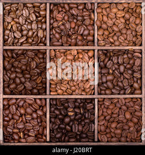 Boîte de rangement en bois carré avec 9 compartiments, remplis d'une sélection de grains de café de différentes variétés et les rôtis. Banque D'Images