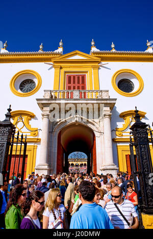 La Maestranza en la Plaza de Toros, Sevilla Banque D'Images