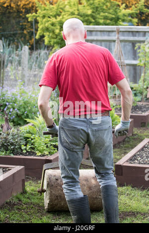 Jardinier amateur dans la cinquantaine rouler une pelouse qui a été récemment ensemencées et haut habillé avec le sol Banque D'Images