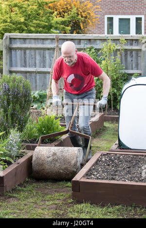 Jardinier amateur dans la cinquantaine rouler une pelouse qui a été récemment ensemencées et haut habillé avec le sol Banque D'Images