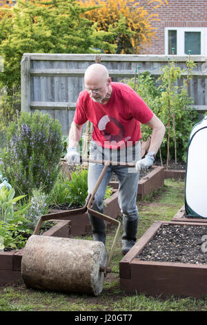 Jardinier amateur dans la cinquantaine rouler une pelouse qui a été récemment ensemencées et haut habillé avec le sol Banque D'Images