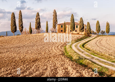 I Cipressini Agri-Tourismo Près De Pienza En Toscane Banque D'Images