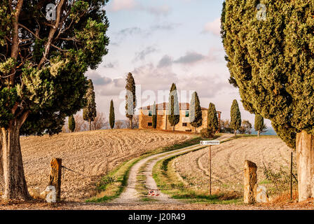 I Cipressini Agri-Tourismo Près De Pienza En Toscane Banque D'Images