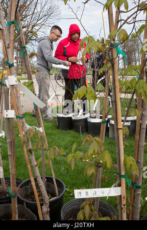 Detroit, Michigan - l'Arbor Day Foundation et le Département des ressources naturelles du Michigan a distribué 1 000 arbres gratuits pour les résidents de Détroit. De nombreux Banque D'Images