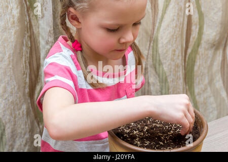 Fille de planter des graines dans un pot sur la table Banque D'Images