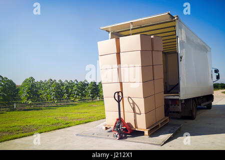 Chariot de transport de marchandises emballées dans des boîtes de l'entrepôt Banque D'Images