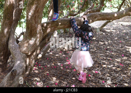 Les enfants (garçon et fille) jouant dans l'arbre rhododendron, Woodland à Sheffield, Angleterre Parc et Jardin Banque D'Images